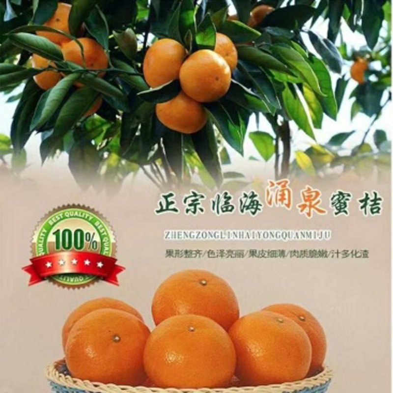 在快节奏的都市生活中，我们常常忽略了对新鲜蔬菜和水果摄入的重要性。今天，让我们一起走进果蔬的世界，探索它们如何成为我们日常饮食中的健康守护神。